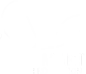 Smart logo